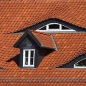 Fledermausgaube